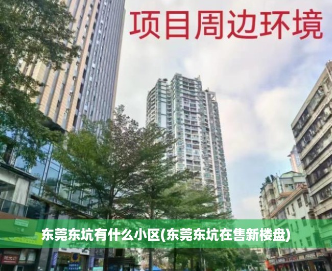 东莞东坑有什么小区(东莞东坑在售新楼盘) 东莞东坑有什么小区(东莞东坑在售新楼盘)