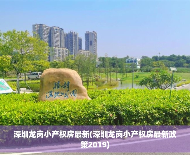 深圳龙岗小产权房最新(深圳龙岗小产权房最新政策2019) 深圳龙岗小产权房最新(深圳龙岗小产权房最新政策2019)