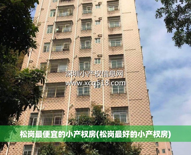 松岗最便宜的小产权房(松岗最好的小产权房) 松岗最便宜的小产权房(松岗最好的小产权房)