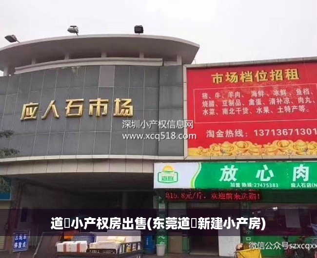 道滘小产权房出售(东莞道滘新建小产房)