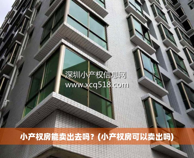 小产权房能卖出去吗？(小产权房可以卖出吗)