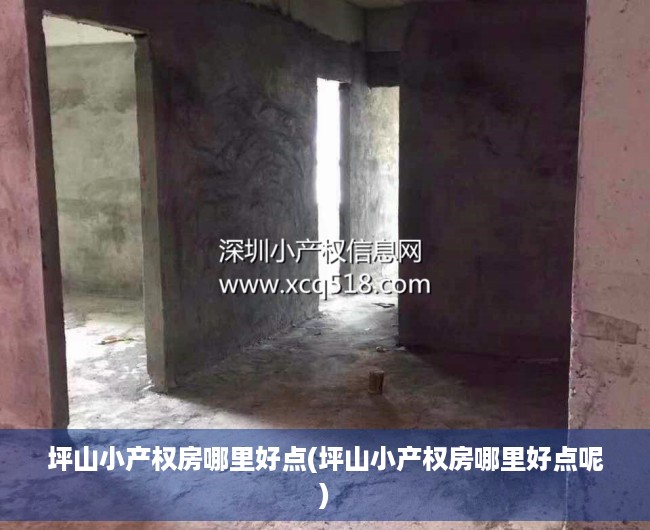 坪山小产权房哪里好点(坪山小产权房哪里好点呢) 坪山小产权房哪里好点(坪山小产权房哪里好点呢)