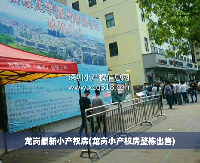 龙岗最新小产权房(龙岗小产权房整栋出售)