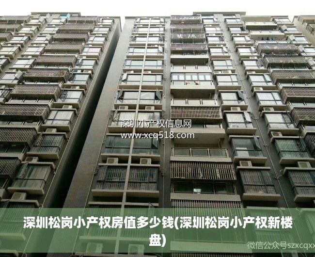 深圳松岗小产权房值多少钱(深圳松岗小产权新楼盘) 深圳松岗小产权房值多少钱(深圳松岗小产权新楼盘)