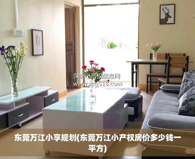东莞万江小享规划(东莞万江小产权房价多少钱一平方) 东莞万江小享规划(东莞万江小产权房价多少钱一平方)