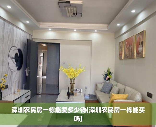 深圳农民房一栋能卖多少钱(深圳农民房一栋能买吗)