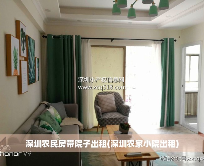 深圳农民房带院子出租(深圳农家小院出租)