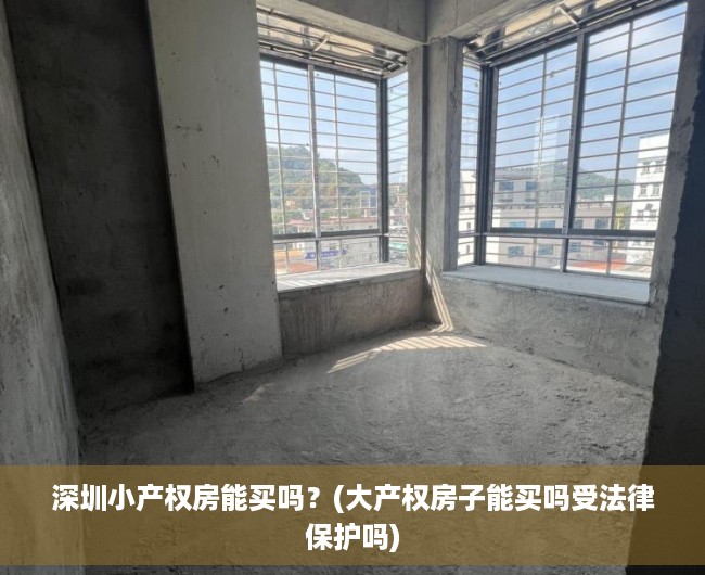 深圳小产权房能买吗?(大产权房子能买吗受法律保护吗) 深圳小产权房能买吗?(大产权房子能买吗受法律保护吗)