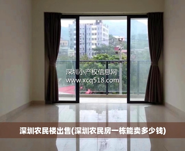 深圳农民楼出售(深圳农民房一栋能卖多少钱)