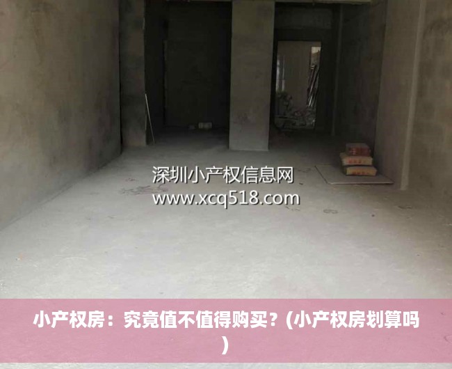 小产权房：究竟值不值得购买？(小产权房划算吗)