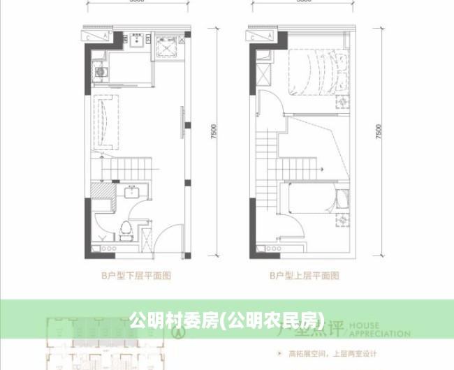公明村委房(公明农民房) 公明村委房(公明农民房)