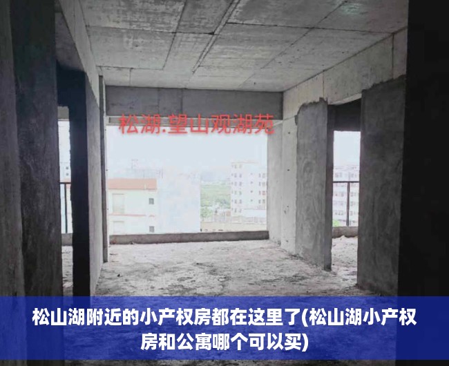 松山湖附近的小产权房都在这里了(松山湖小产权房和公寓哪个可以买) 松山湖附近的小产权房都在这里了(松山湖小产权房和公寓哪个可以买)