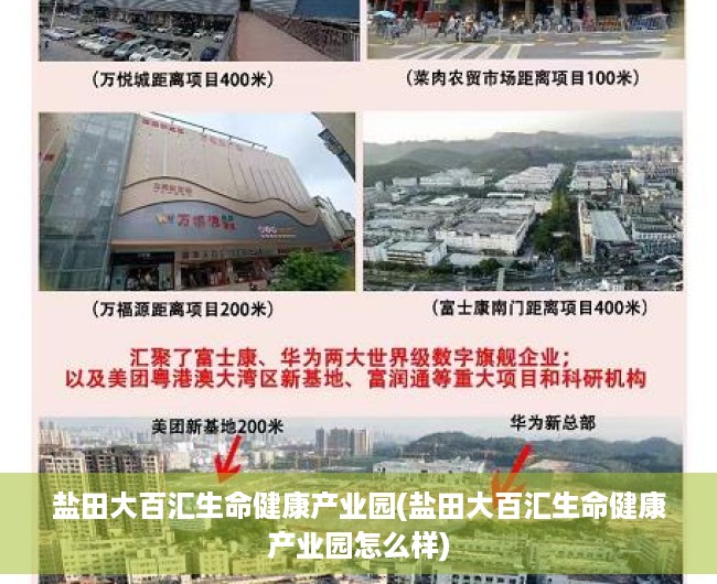 盐田大百汇生命健康产业园(盐田大百汇生命健康产业园怎么样) 盐田大百汇生命健康产业园(盐田大百汇生命健康产业园怎么样)