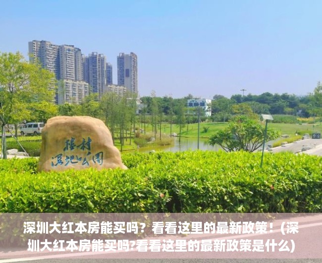 深圳大红本房能买吗？看看这里的最新政策！(深圳大红本房能买吗?看看这里的最新政策是什么)