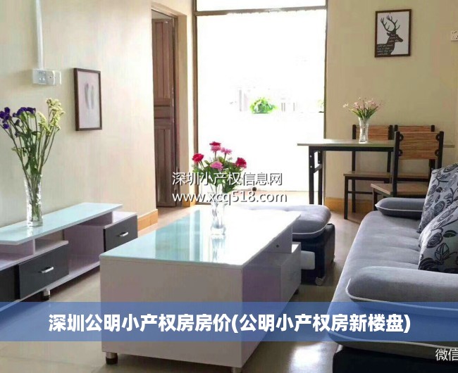 深圳公明小产权房房价(公明小产权房新楼盘) 深圳公明小产权房房价(公明小产权房新楼盘)