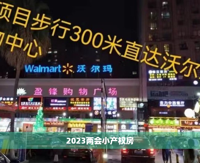 2023两会小产权房 2023两会小产权房