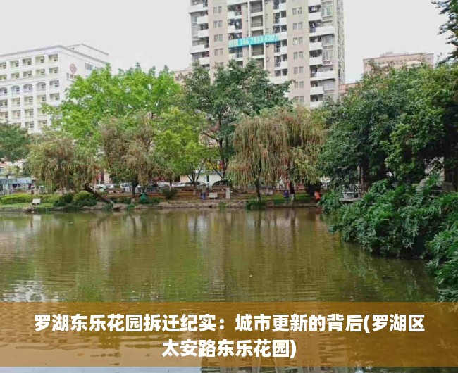 罗湖东乐花园拆迁纪实：城市更新的背后(罗湖区太安路东乐花园)