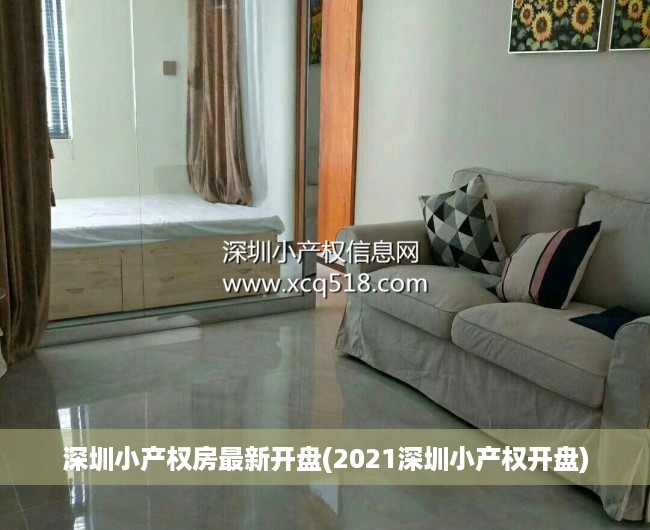 深圳小产权房最新开盘(2021深圳小产权开盘) 深圳小产权房最新开盘(2021深圳小产权开盘)