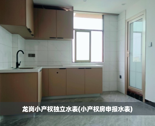 龙岗小产权独立水表(小产权房申报水表) 龙岗小产权独立水表(小产权房申报水表)