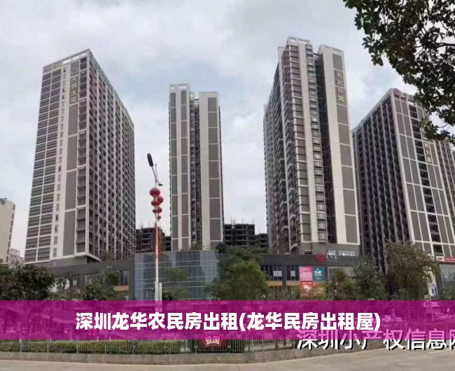 深圳龙华农民房出租(龙华民房出租屋)