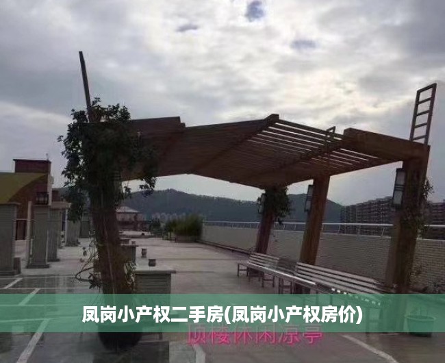 凤岗小产权二手房(凤岗小产权房价) 凤岗小产权二手房(凤岗小产权房价)