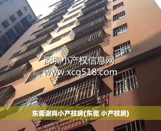 东莞谢岗小产权房(东莞 小产权房) 东莞谢岗小产权房(东莞 小产权房)