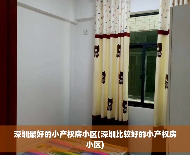 深圳最好的小产权房小区(深圳比较好的小产权房小区)