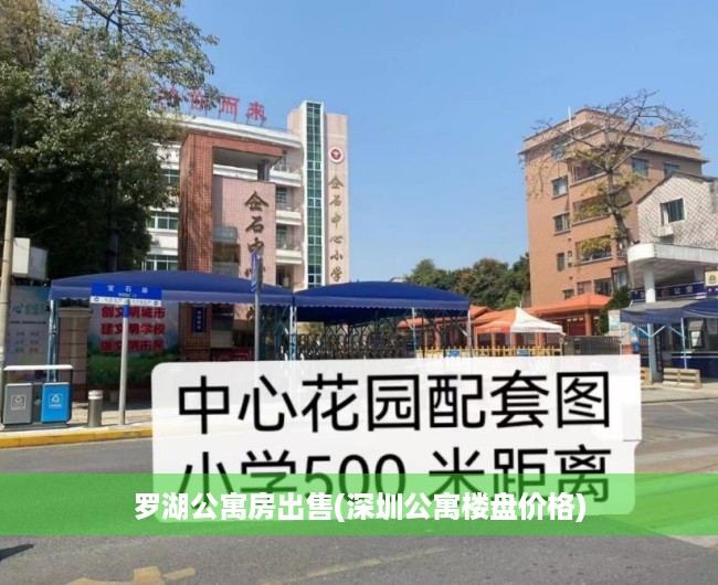 罗湖公寓房出售(深圳公寓楼盘价格) 罗湖公寓房出售(深圳公寓楼盘价格)