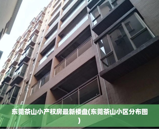 东莞茶山小产权房最新楼盘(东莞茶山小区分布图)
