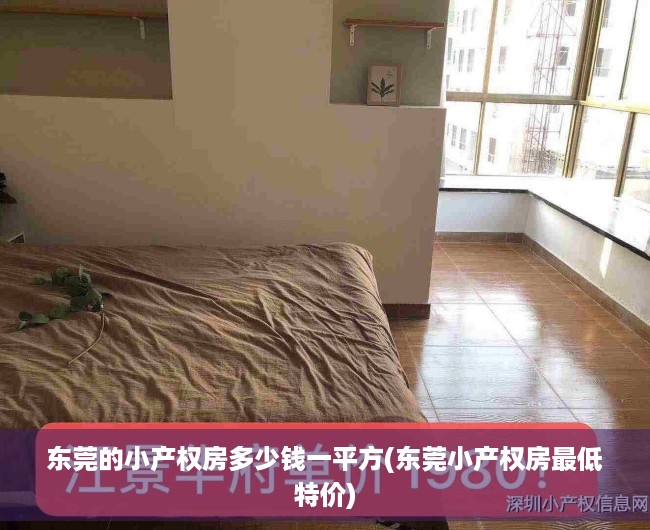 东莞的小产权房多少钱一平方(东莞小产权房最低特价)