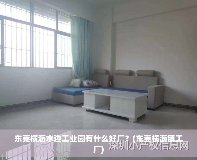 东莞横沥水边工业园有什么好厂？(东莞横沥镇工厂)