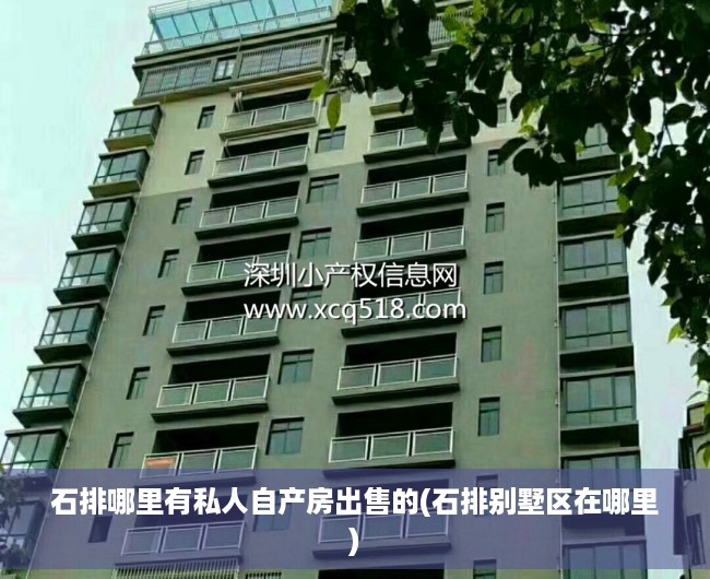 石排哪里有私人自产房出售的(石排别墅区在哪里)