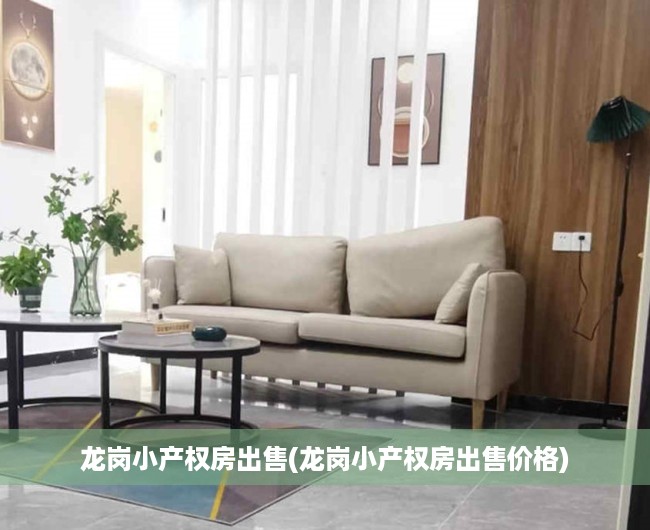 龙岗小产权房出售(龙岗小产权房出售价格)