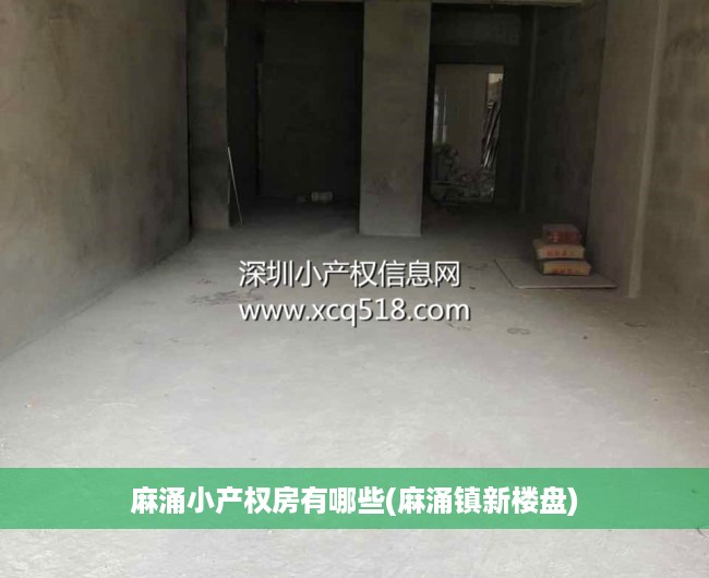 麻涌小产权房有哪些(麻涌镇新楼盘)