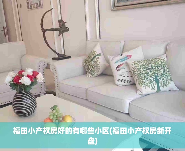 福田小产权房好的有哪些小区(福田小产权房新开盘) 福田小产权房好的有哪些小区(福田小产权房新开盘)