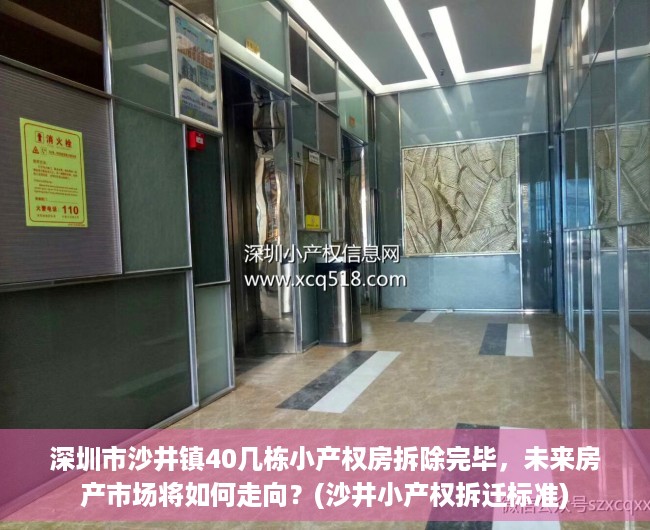 深圳市沙井镇40几栋小产权房拆除完毕，未来房产市场将如何走向？(沙井小产权拆迁标准)