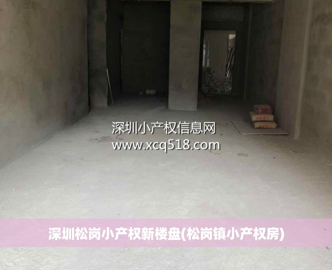 深圳松岗小产权新楼盘(松岗镇小产权房) 深圳松岗小产权新楼盘(松岗镇小产权房)