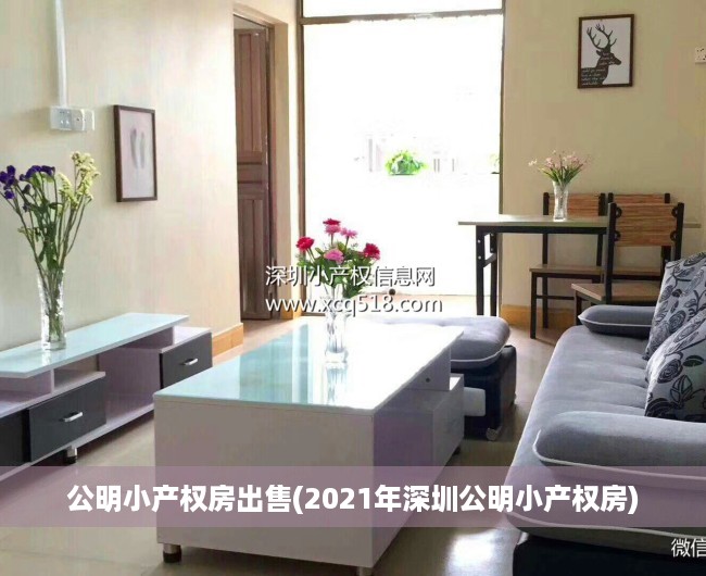 公明小产权房出售(2021年深圳公明小产权房)