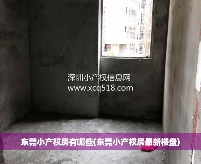 东莞小产权房有哪些(东莞小产权房最新楼盘) 东莞小产权房有哪些(东莞小产权房最新楼盘)