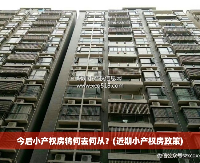 今后小产权房将何去何从？(近期小产权房政策)