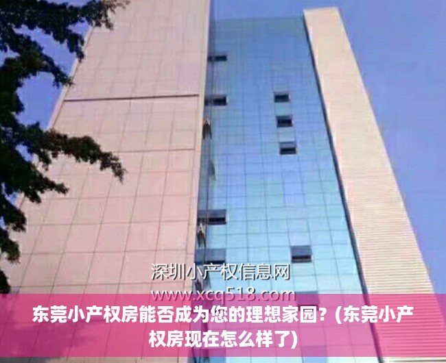 东莞小产权房能否成为您的理想家园？(东莞小产权房现在怎么样了)
