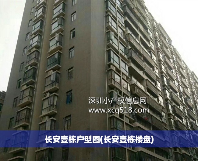 长安壹栋户型图(长安壹栋楼盘)