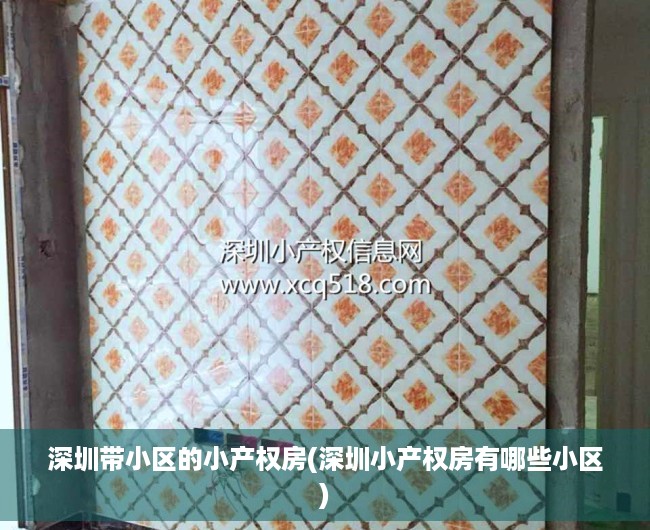 深圳带小区的小产权房(深圳小产权房有哪些小区) 深圳带小区的小产权房(深圳小产权房有哪些小区)