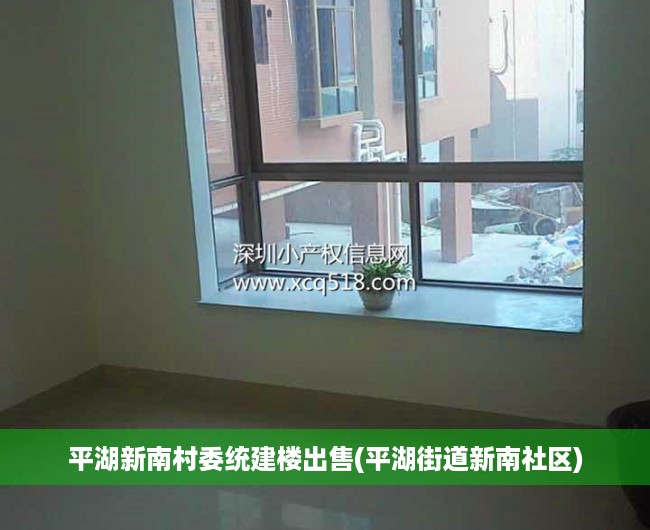 平湖新南村委统建楼出售(平湖街道新南社区) 平湖新南村委统建楼出售(平湖街道新南社区)