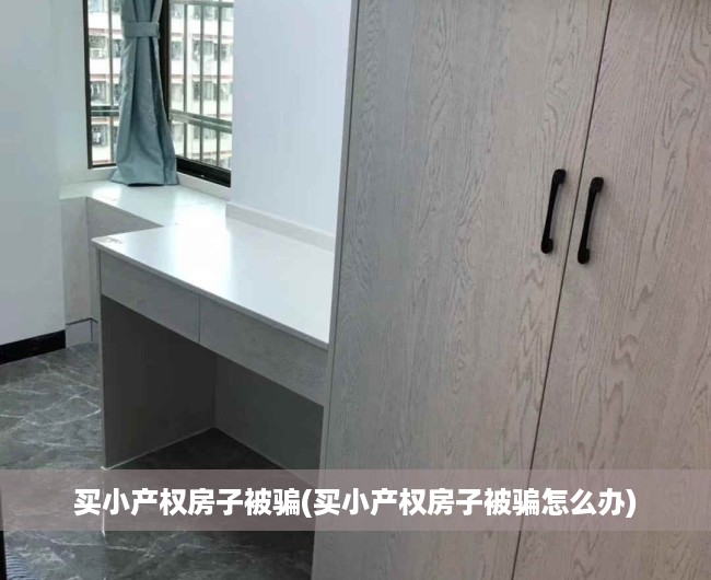 买小产权房子被骗(买小产权房子被骗怎么办)