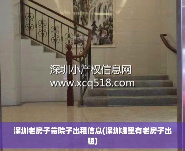 深圳老房子带院子出租信息(深圳哪里有老房子出租)