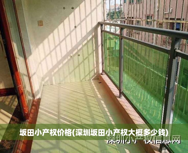 坂田小产权价格(深圳坂田小产权大概多少钱) 坂田小产权价格(深圳坂田小产权大概多少钱)