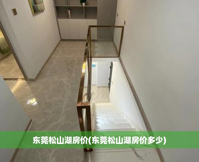 东莞松山湖房价(东莞松山湖房价多少)