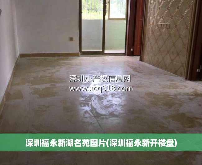 深圳福永新湖名苑图片(深圳福永新开楼盘) 深圳福永新湖名苑图片(深圳福永新开楼盘)