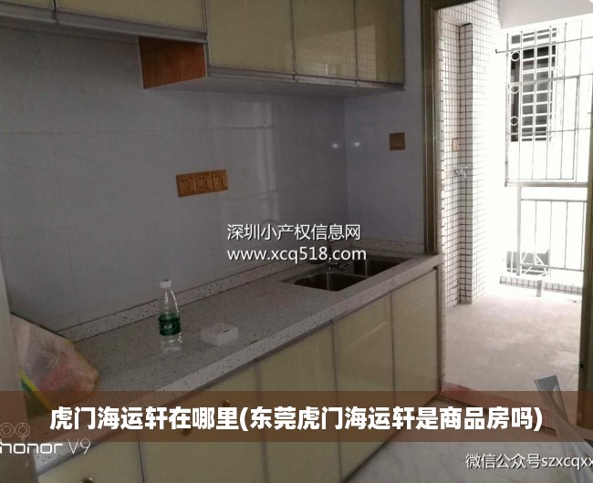 虎门海运轩在哪里(东莞虎门海运轩是商品房吗)